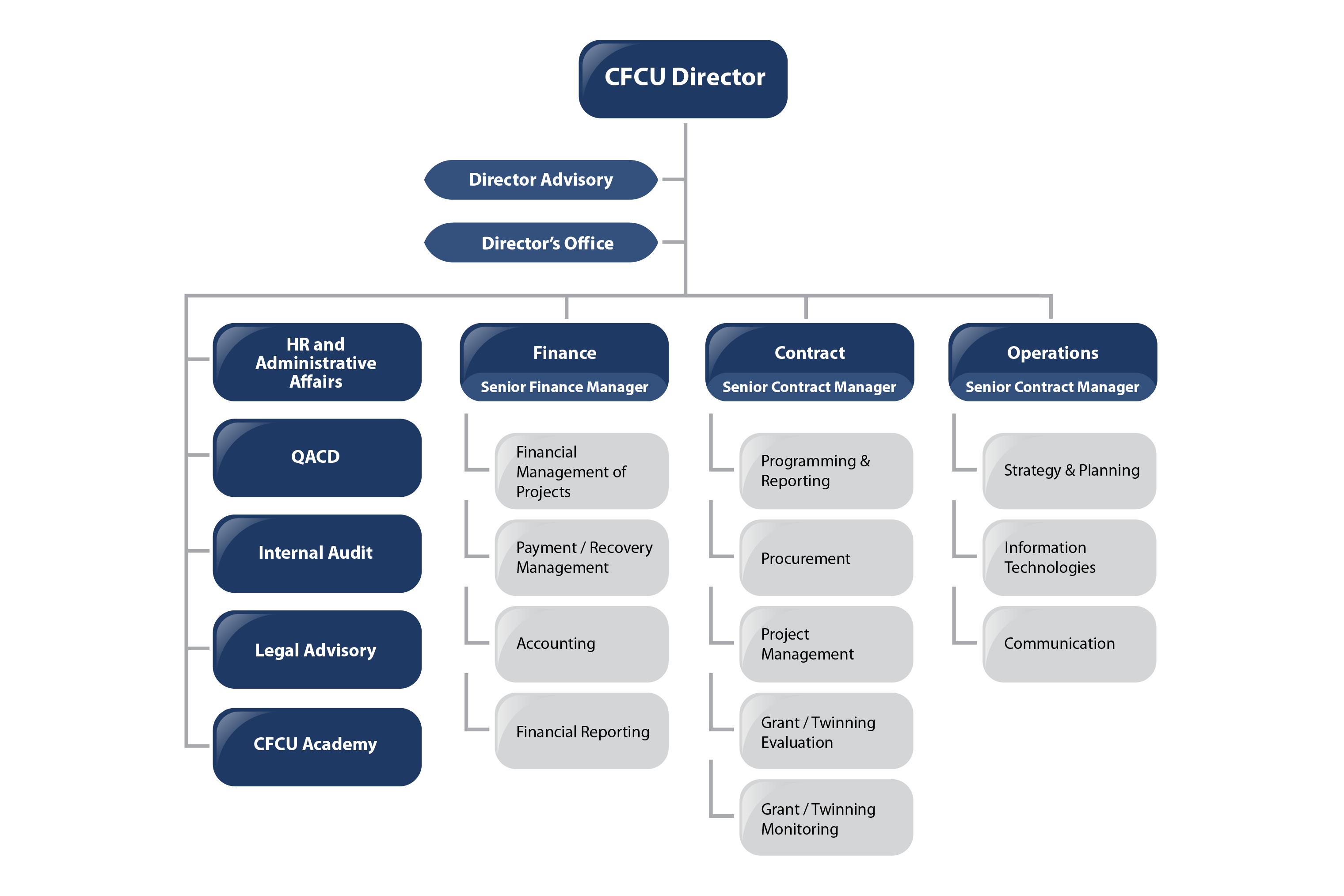 organisation chart